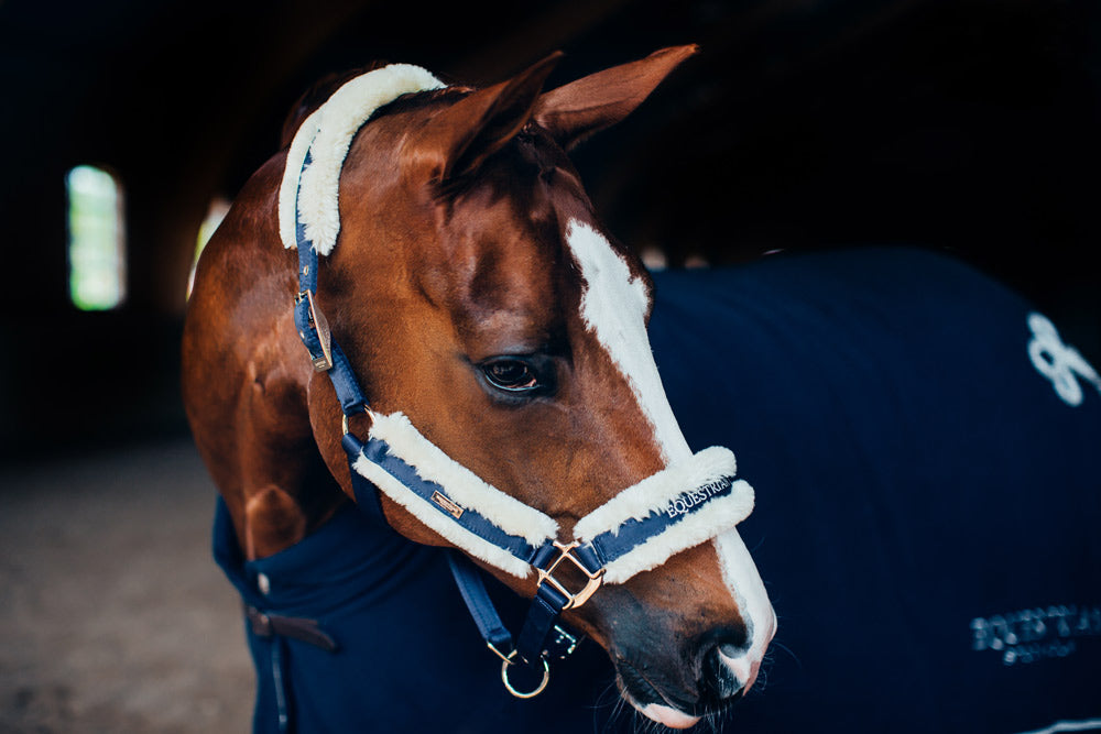 フック 様 thoroughbred navy Fur Halter & Lead Rope Navy | Equestrian Stockholm