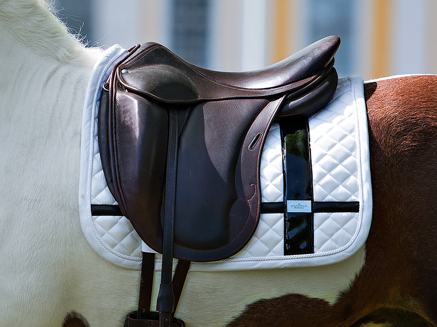 Dressage Saddle Pad No Boundaries White