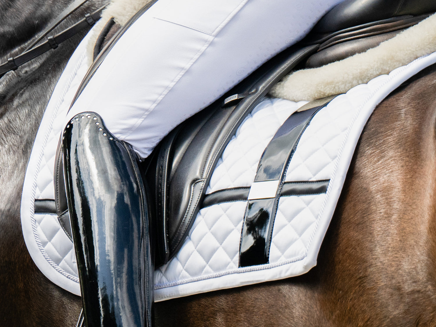 Dressage Saddle Pad No Boundaries White