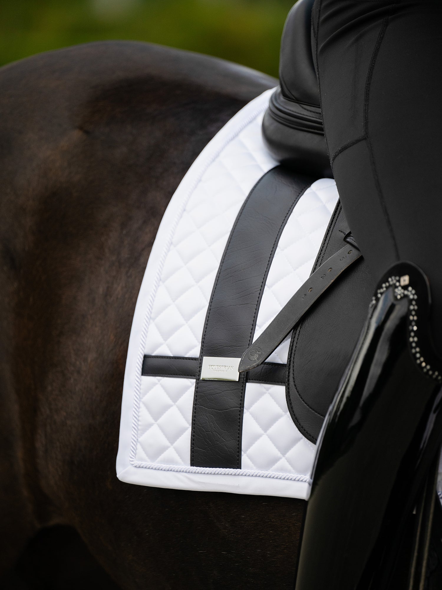 Dressage Saddle Pad No Boundaries White