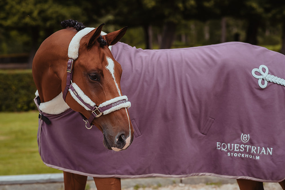 Fur Halter & Lead Rope Orchid Bloom | Equestrian Stockholm