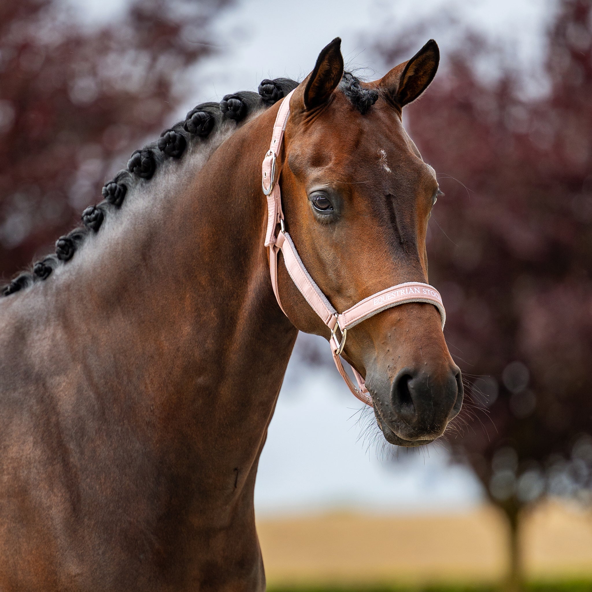 Pink | Equestrian Stockholm