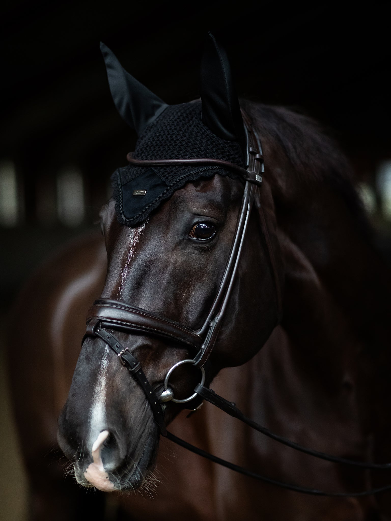 Bronze Gold – Equestrian Stockholm