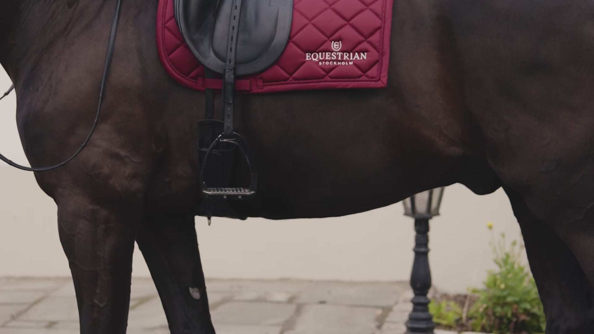 Bottes De Brushing Equestrian Stockholm – Bordeaux – Protection Cheval