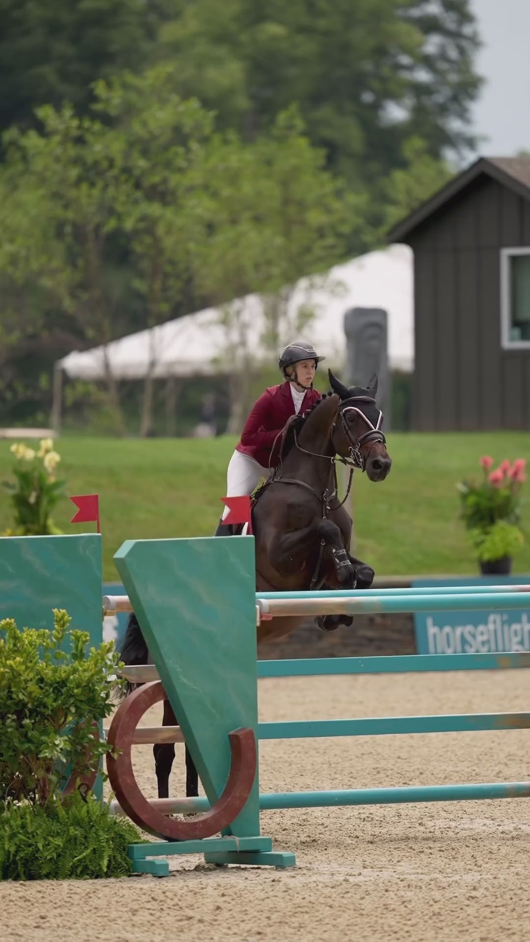 Select Competition Jacket Bordeaux | Equestrian Stockholm