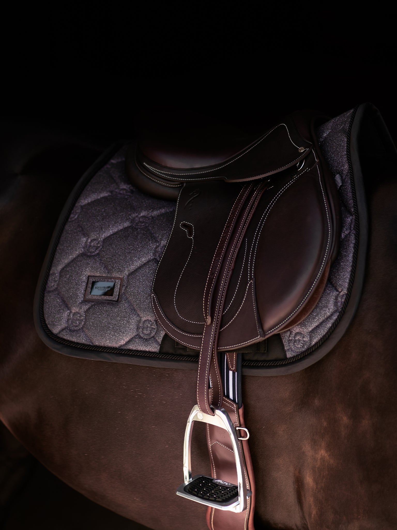 Top 25 Dressage Terms Explained – Rider's Glossary – Equestrian Stockholm