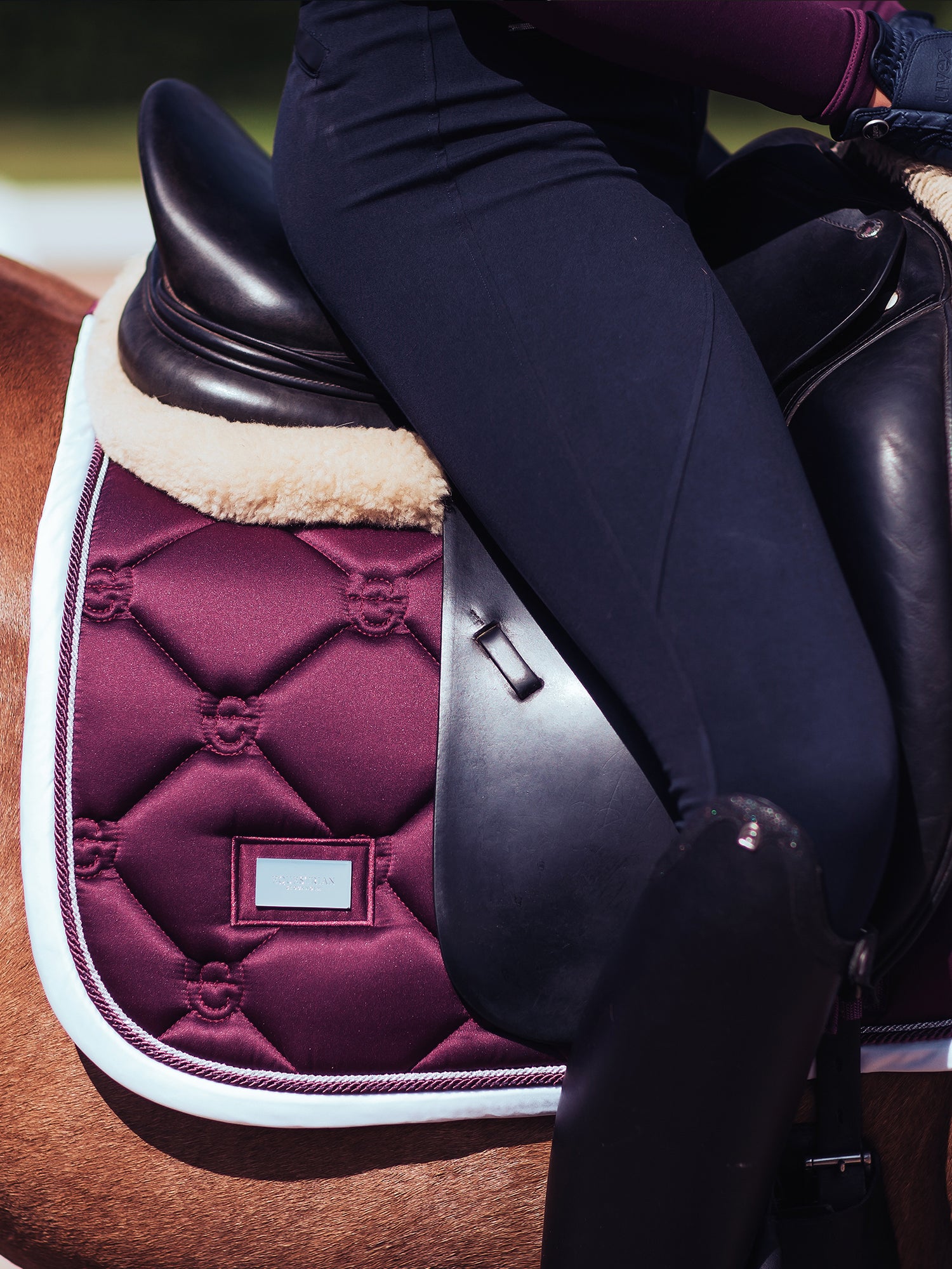 Dressage Saddle Pad Purple White Edge