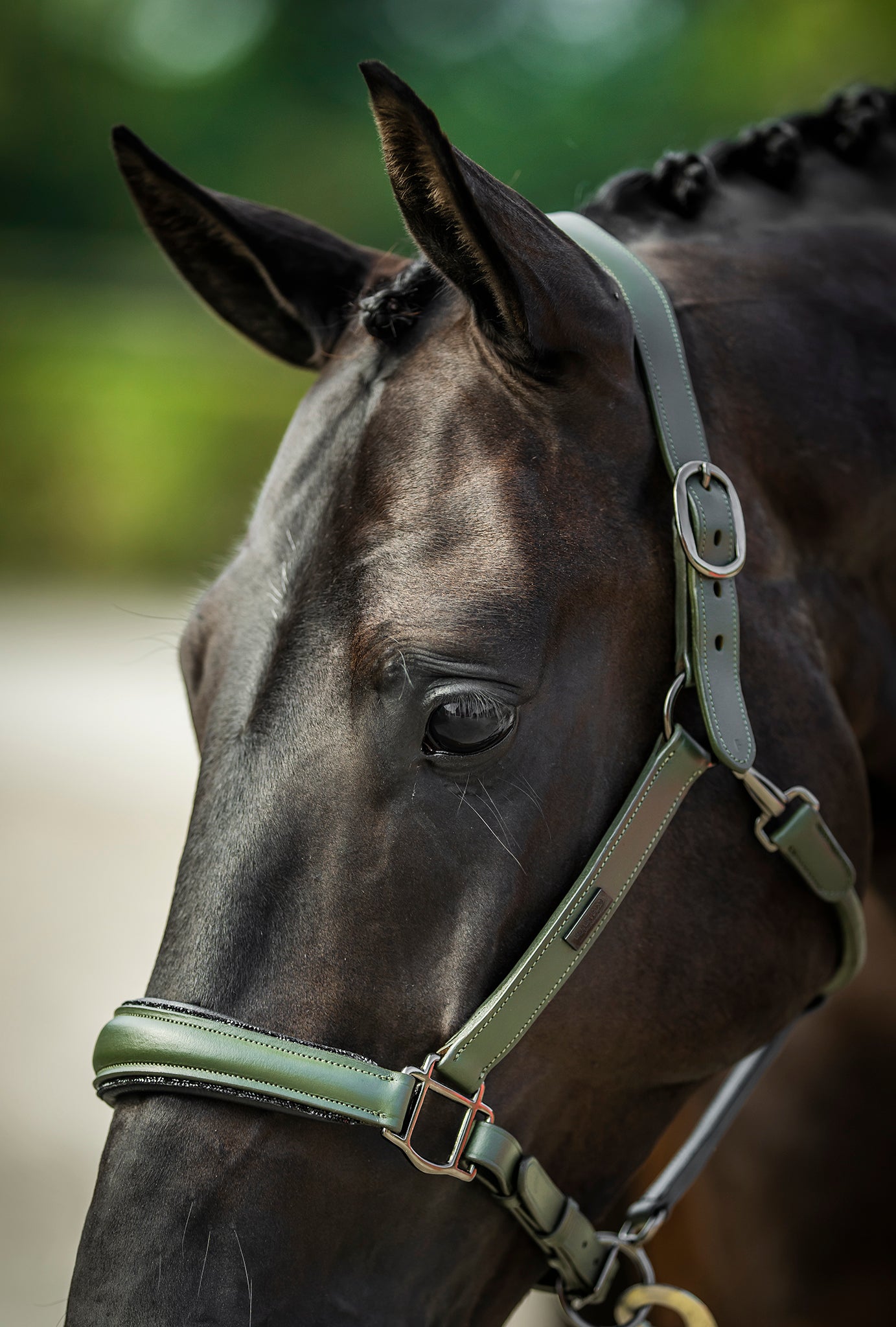 Glimmer Anatomic Leather Halter Striking Valley