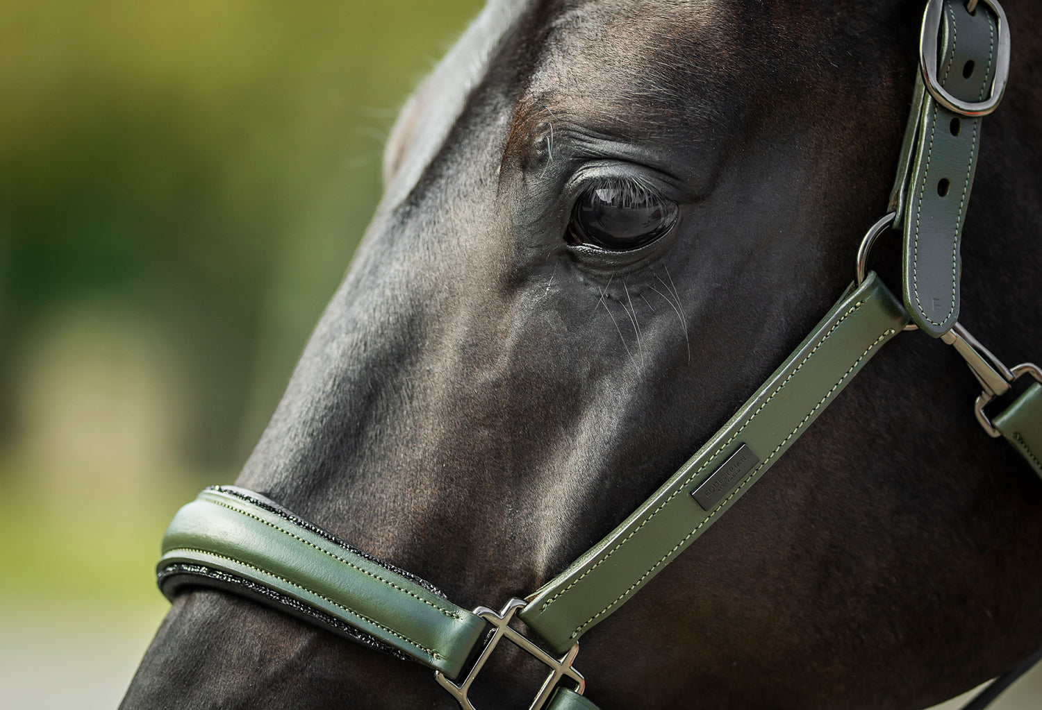 Glimmer Anatomic Leather Halter Striking Valley