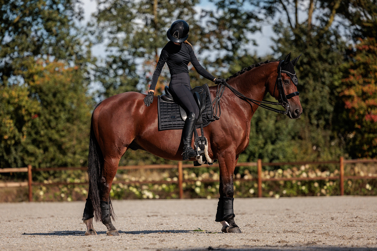 Dressuur Zadeldekje Sportive Black 