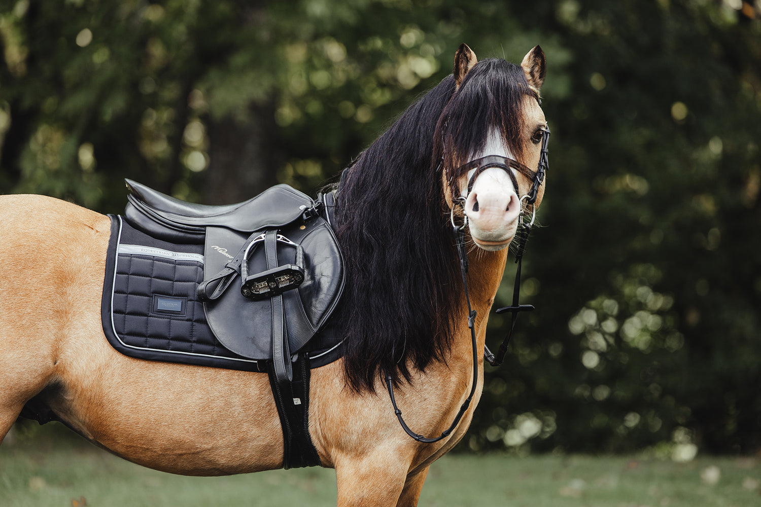 Reflective Jump Saddle Pad Sportive Luminous Black