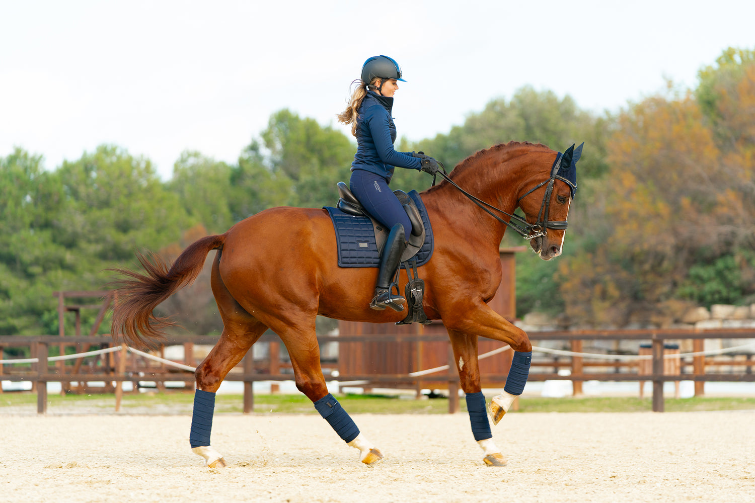 Dressuur Zadeldekje Sportive Navy