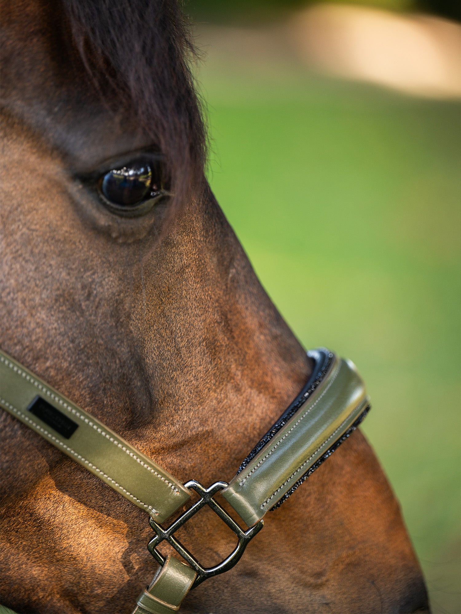 Glimmer Anatomic Leather Halter Striking Valley