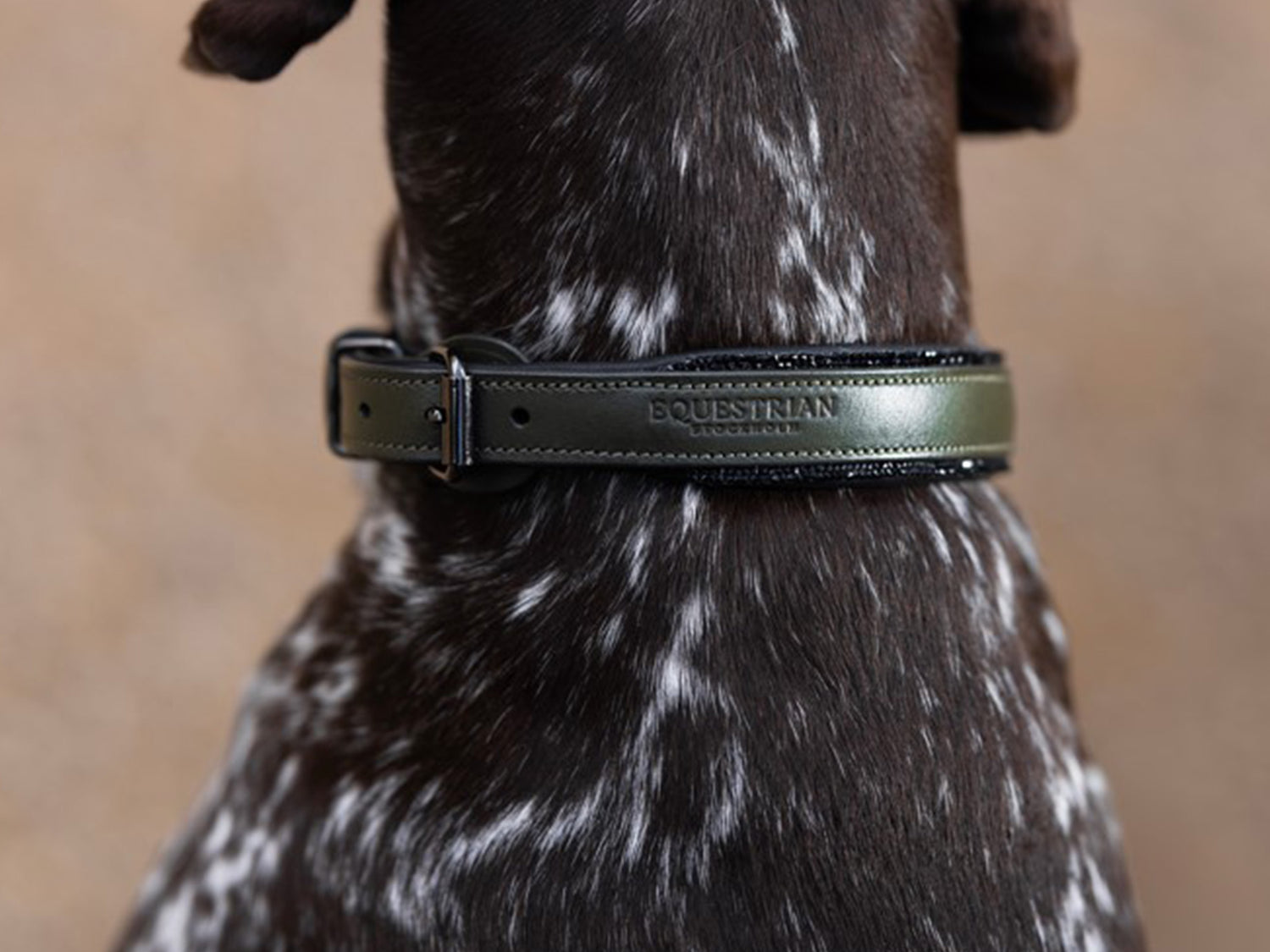 Glimmer Leather Dog Collar Striking Valley