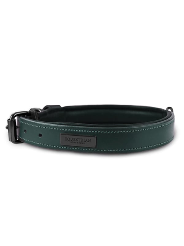 Hunde Halsband Clean Sycamore Green