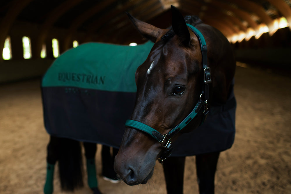 Leather Halter & Lead Rope Sycamore Green | Equestrian Stockholm