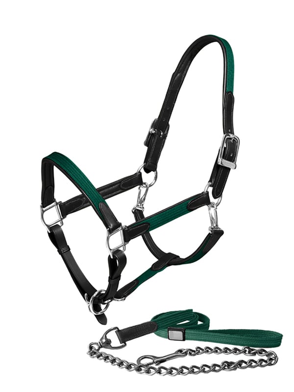Leather Halter & Lead Rope Sycamore Green